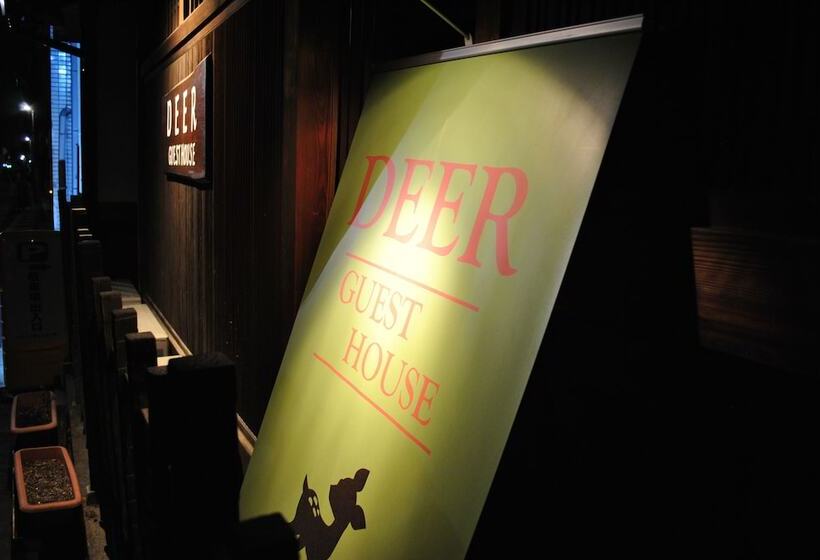 Deer Guesthouse   Hostel