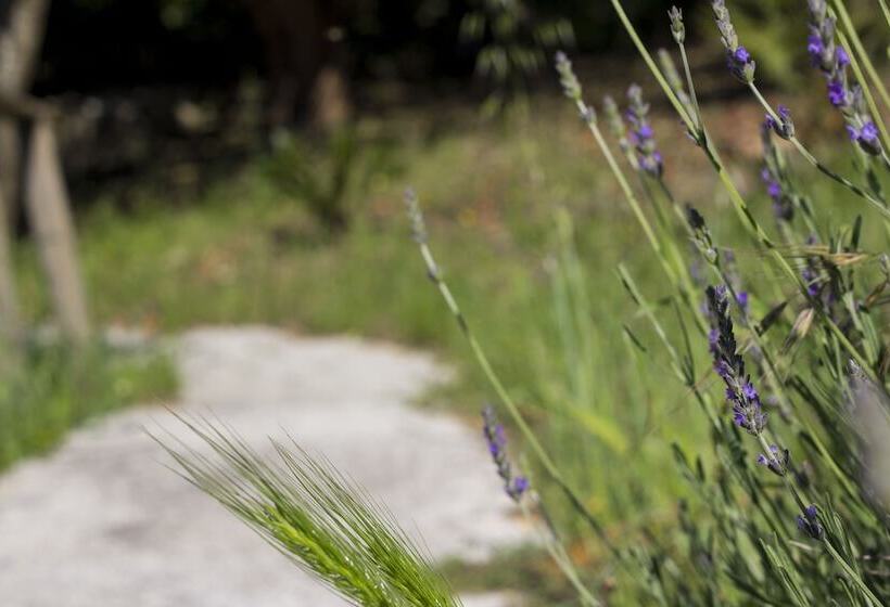 هتل Agriturismo Tarantola