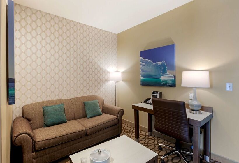 هتل Best Western Plus St. John S Airport  And Suites