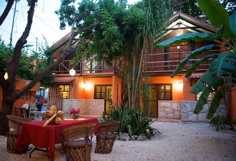 هتل Casa Kiwi