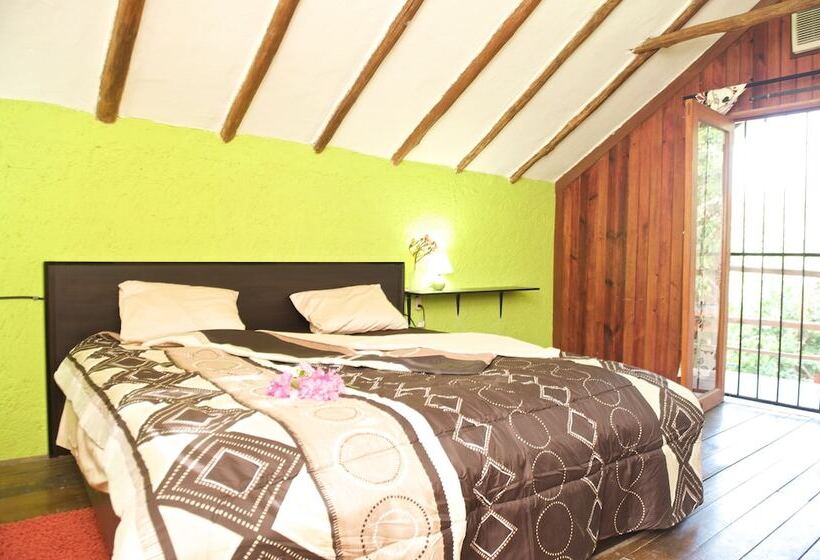 هتل Casa Kiwi