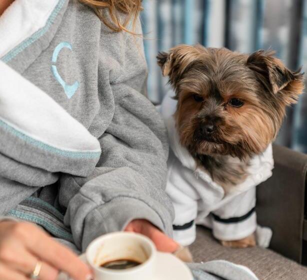 Fotos del hotel Hyatt Centric Brickell Miami:  49