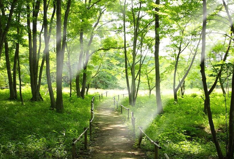 Fotos del hotel Kagaribi No Yu Ryokusuitei:  12