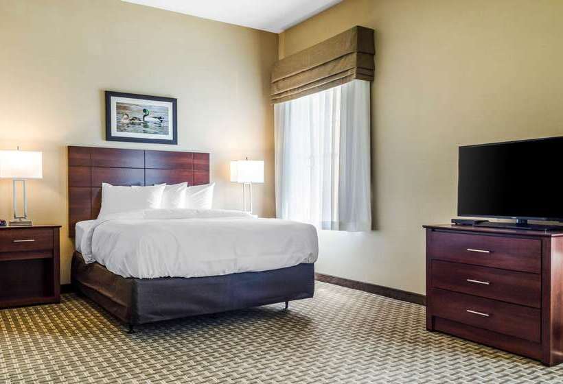 Отель Mainstay Suites Hackberry Sportsman's Lodge
