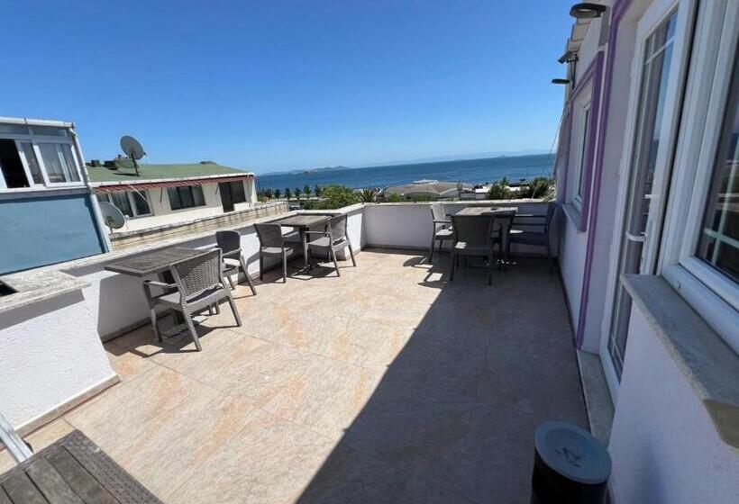 Fotos del hotel Sultanahmet Inn:  39