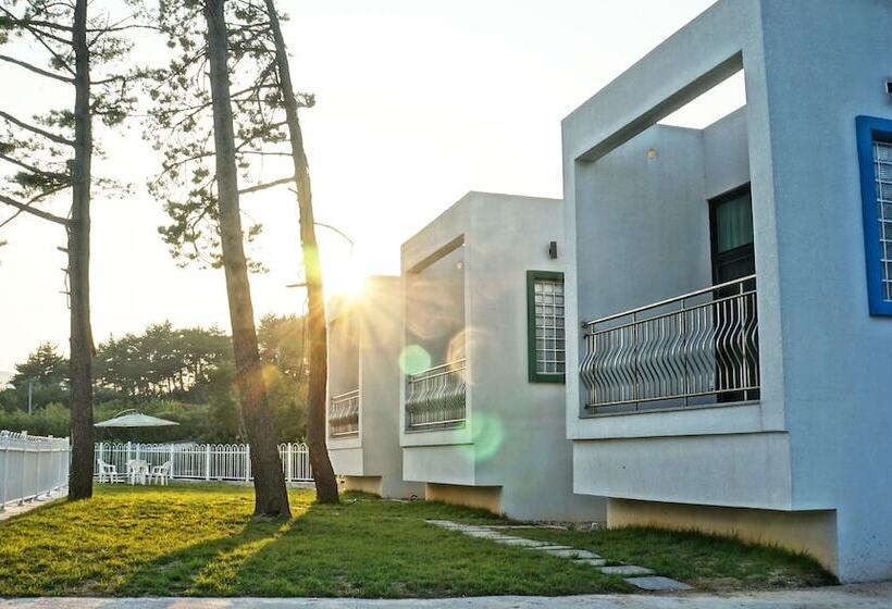 Namhae Sea And Pines Pension