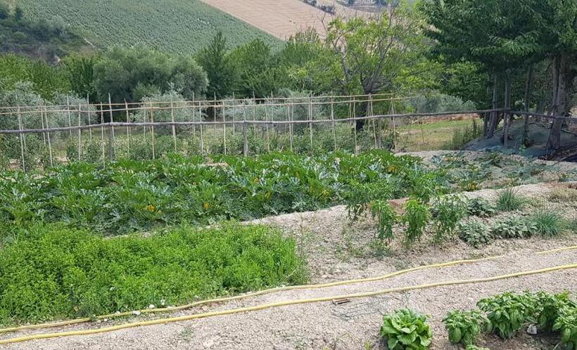 هتل Agriturismo Fiore Di Campo