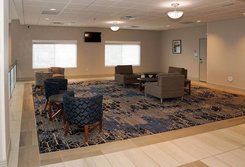 هتل Holiday Inn Express & Suites   Aurora Medical Campus, An Ihg