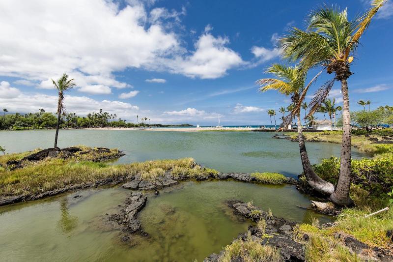 فندق Marriott’s Waikoloa Ocean Club