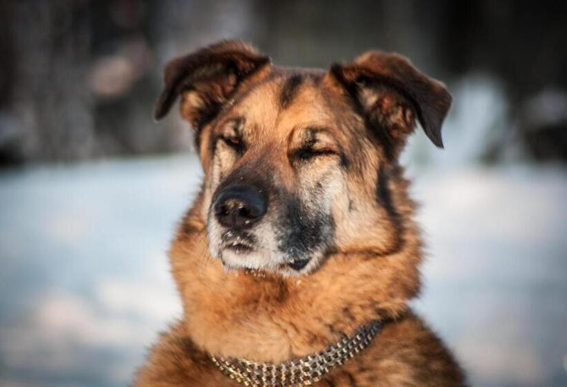 فندق Planinarski Centar Petehovac