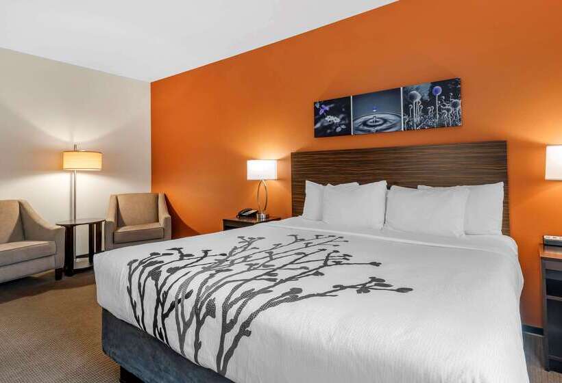 هتل Sleep Inn & Suites Moab Near Arches National Park