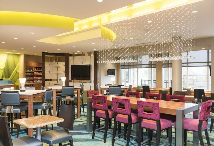 בית מלון כפרי Springhill Suites By Marriott Chicago Southeast/munster, In