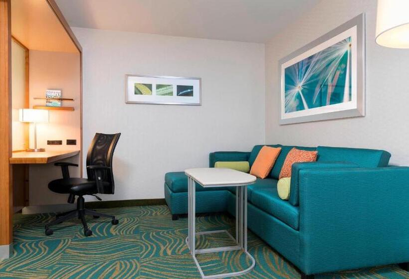 בית מלון כפרי Springhill Suites By Marriott Chicago Southeast/munster, In