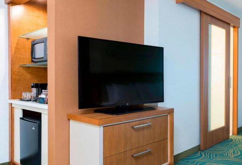 בית מלון כפרי Springhill Suites By Marriott Chicago Southeast/munster, In
