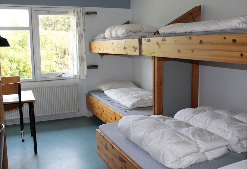 هتل Danhostel Aalborg