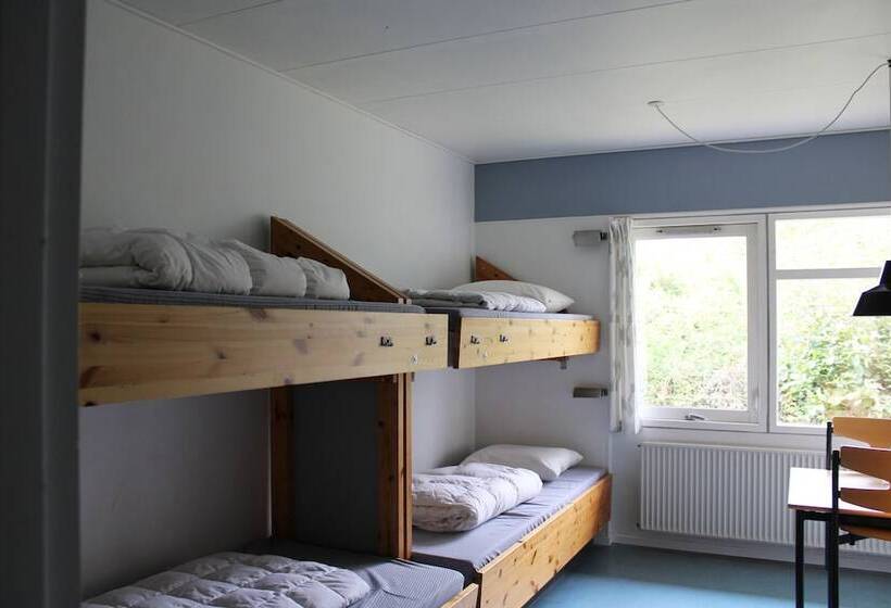 هتل Danhostel Aalborg