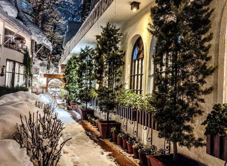 هتل Mount View