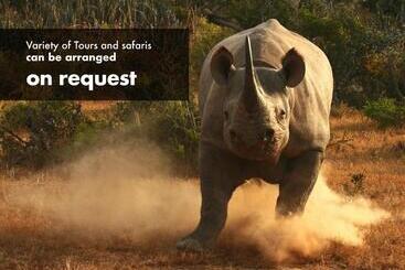 هاستل Luxury Backpackers