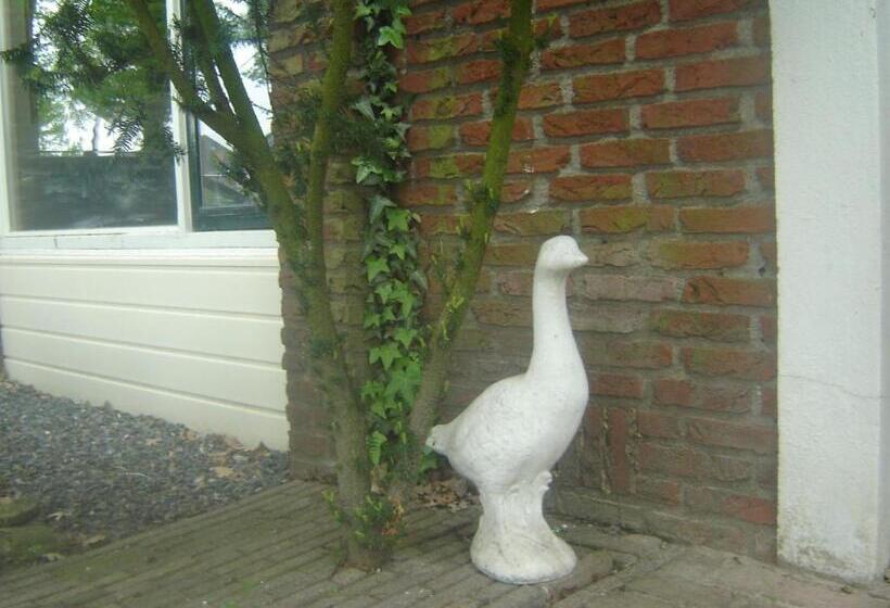 B & B Kostelijk