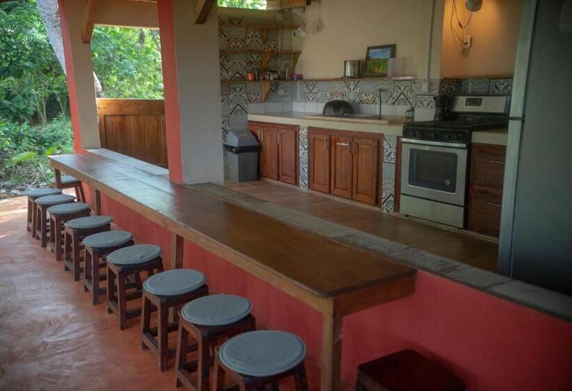 تختخواب و صبحانه Aventura Rincon Ecolodge
