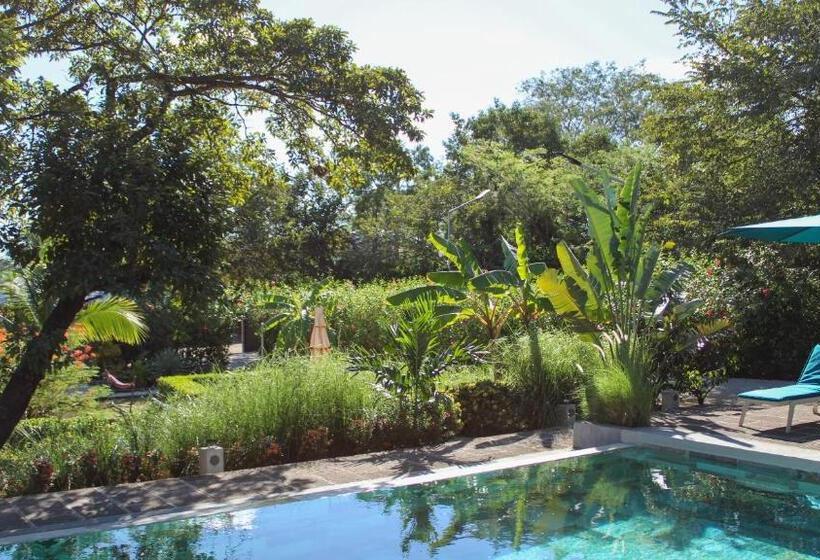 تختخواب و صبحانه Tee K Lodge Tamarindo