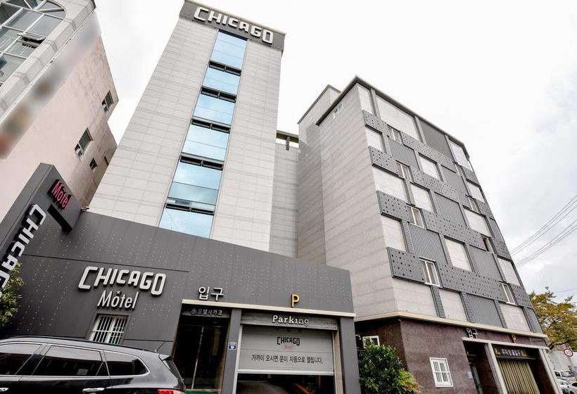 مُتل Ulsan Mugeo Dong Chicago