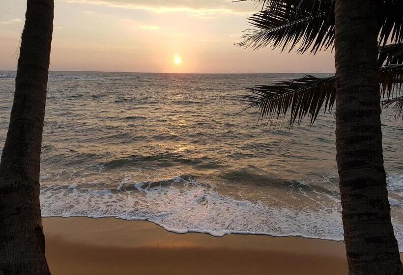 هتل Guesthouse Panorama
