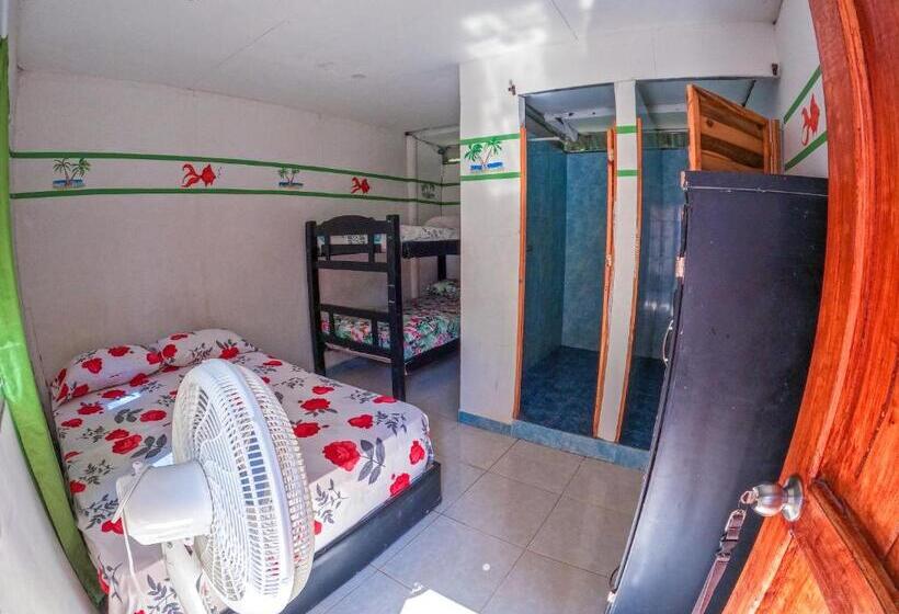 Palomino Hostel