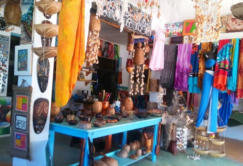 Hostel La Ballena Backpacker