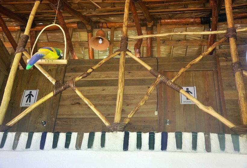 Hostel La Ballena Backpacker