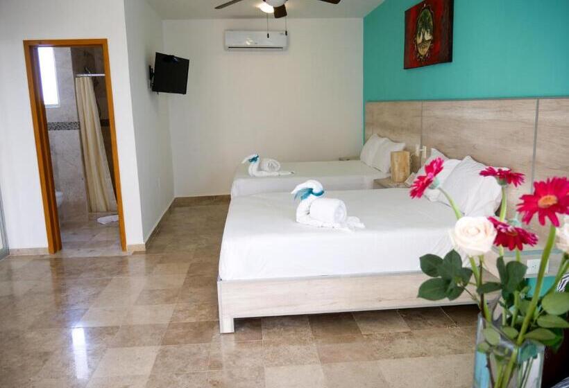 Fotos del hotel Punta Esmeralda:  9