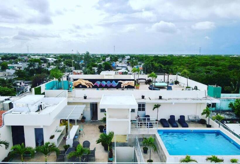 Fotos del hotel Punta Esmeralda:  35