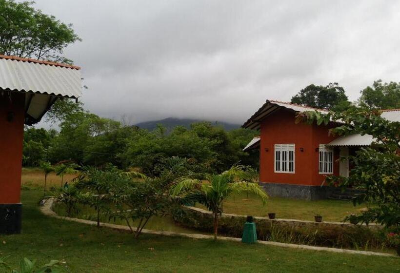 استراحتگاه Ritigala Lodge