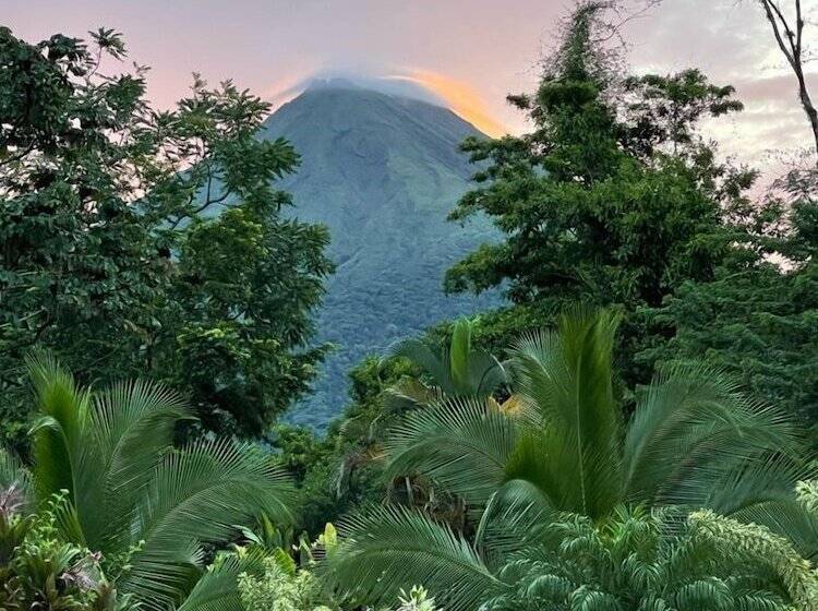 هتل Arenal History Inn