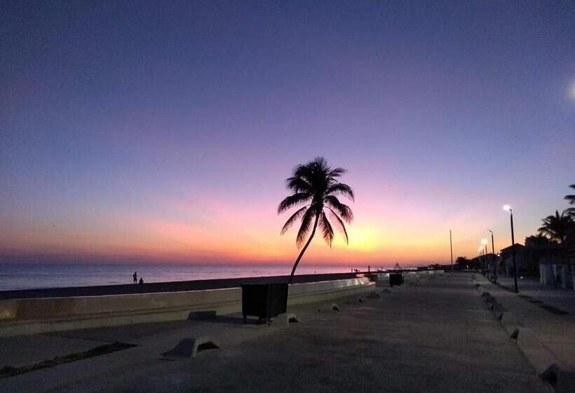 فندق San Miguel