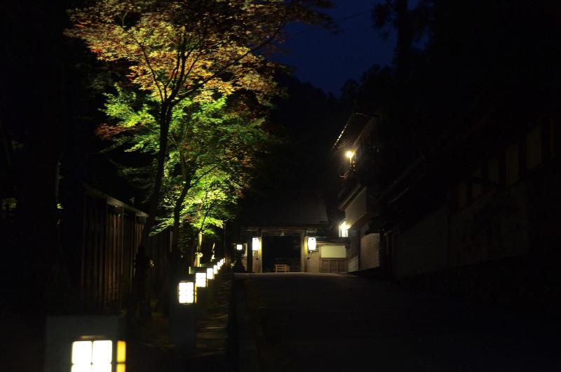 ریوکان 高野山 宿坊 不動院  Koyasan Shukubo Fudoin