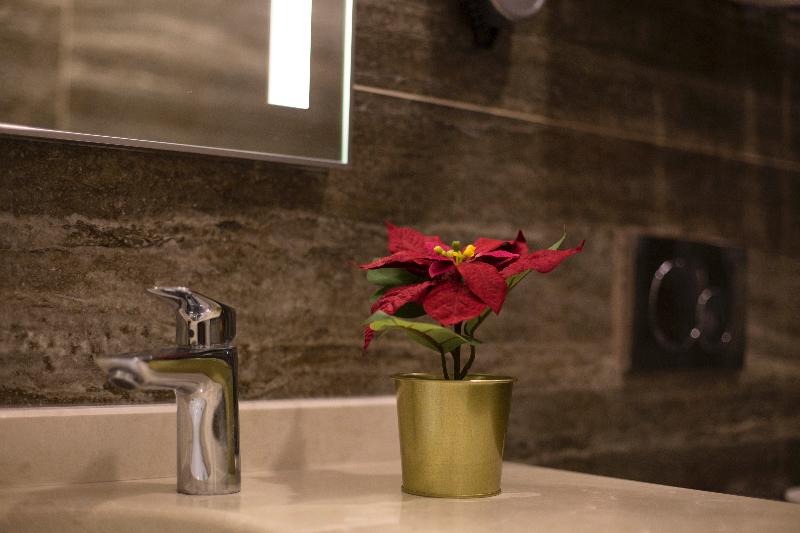 Fotos del hotel Buke:  3