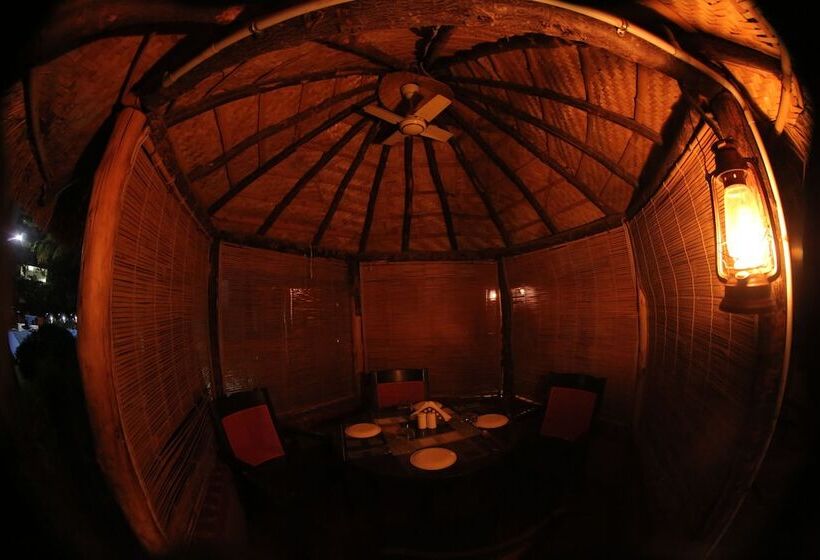 酒店 Hampi International