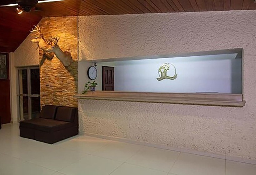 فندق Plaza Palmas