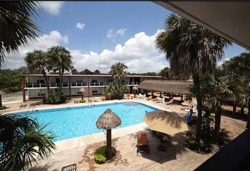 فندق Plaza Palmas