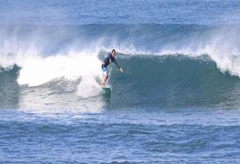 هاستل The Nest Canggu