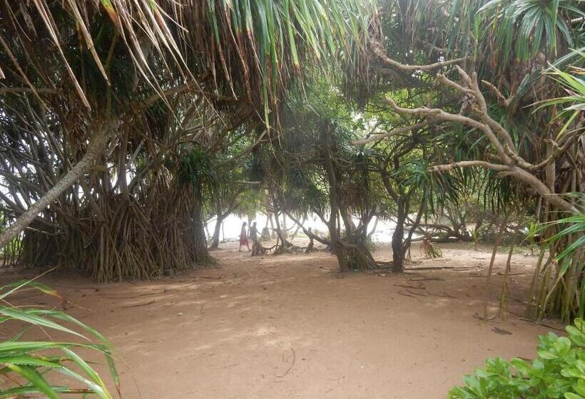 تختخواب و صبحانه Sisanda Residence