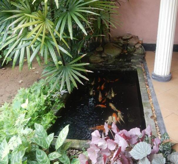 تختخواب و صبحانه Sisanda Residence