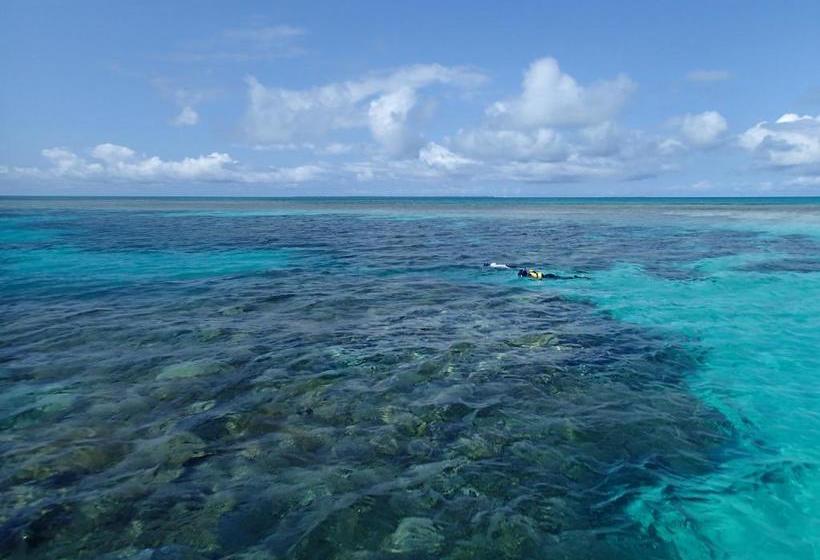 فندق Canaan Coffee &