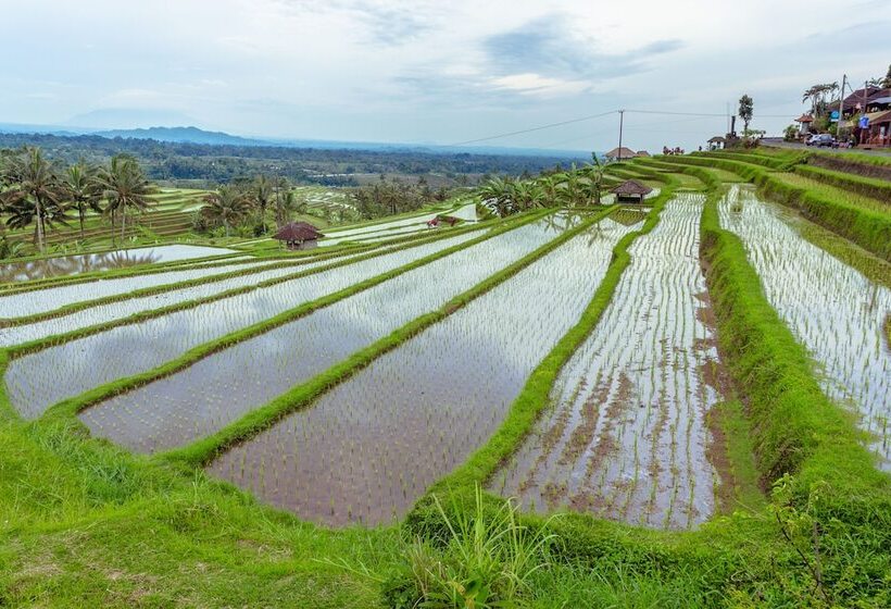 تختخواب و صبحانه Bhuana Agung Villa And Restaurant