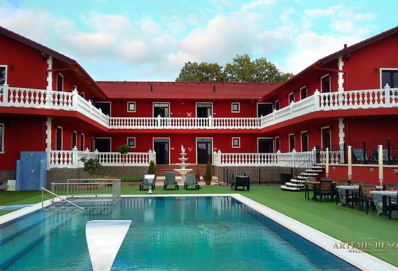 Отель Artemis Resort Wellness