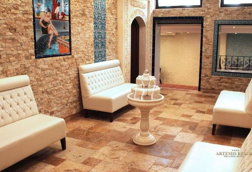 Отель Artemis Resort Wellness