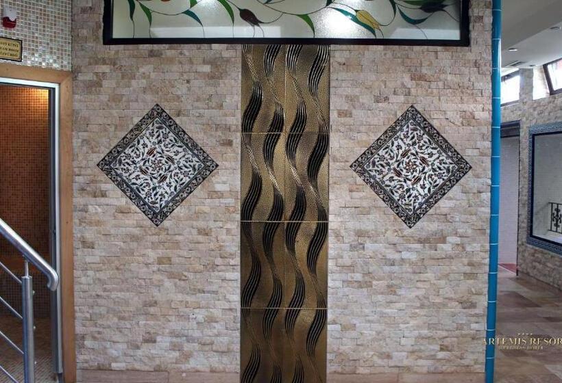 Отель Artemis Resort Wellness