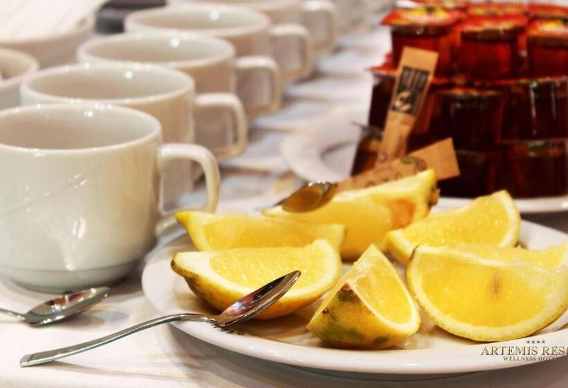 Отель Artemis Resort Wellness