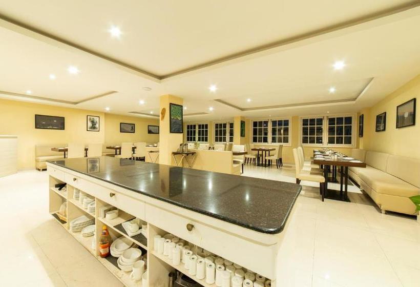 호텔 Cygnett Inn La Maison